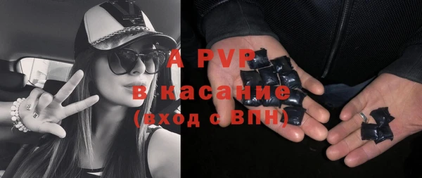 гашик Барнаул