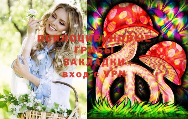 бошки Бронницы