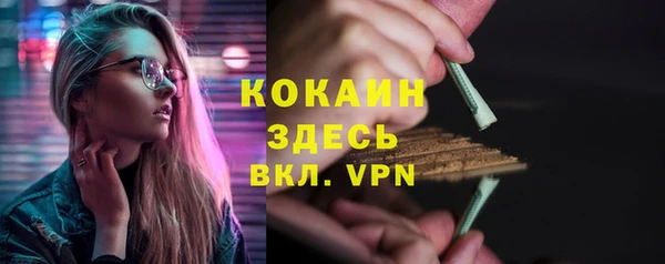 бошки Бронницы