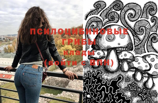 бошки Бронницы