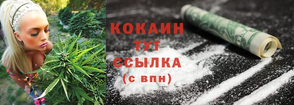 бошки Бронницы