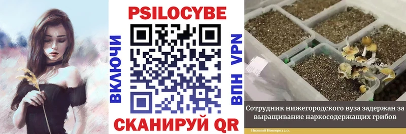 Галлюциногенные грибы MAGIC MUSHROOMS  Самара 